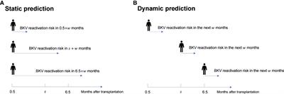 Dynamic risk prediction of BK polyomavirus reactivation after renal transplantation